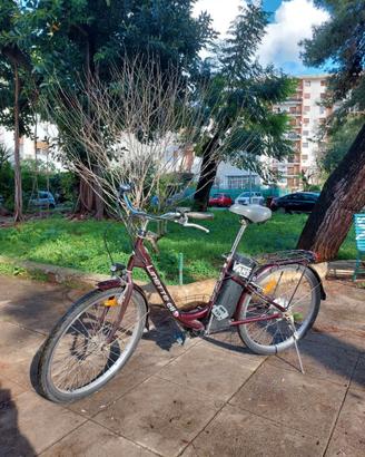 Bicicletta elettrica pedalata assistita city bike