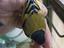 Immagine 3