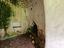Immagine 9