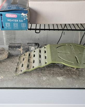 acquario 