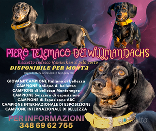 Disponibile per monta