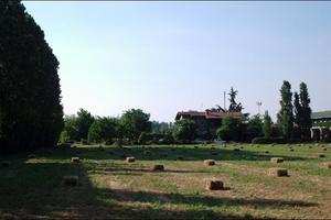 Agriturismo con casa d'abitazione e terreno
