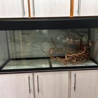 acquario juwel rio 240