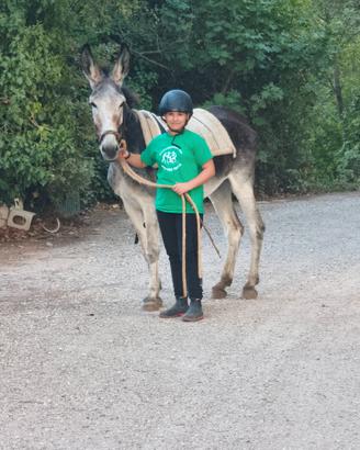 Asina di anni 12 documenti in regola