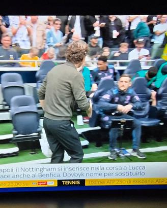 TV LG OLED 65 POLLICI 