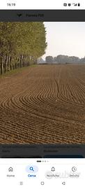 Terreno agricolo