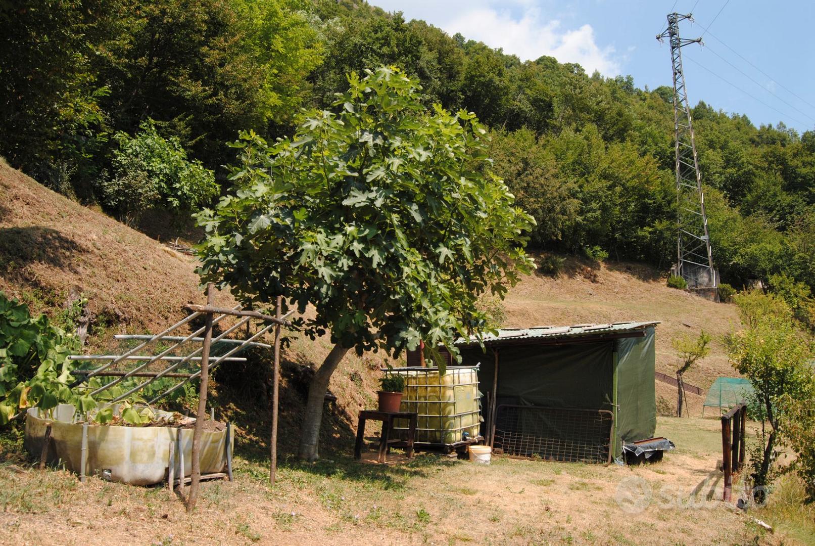 Terreno agricolo in Via Valsabbia Lumezzane - Vista 3