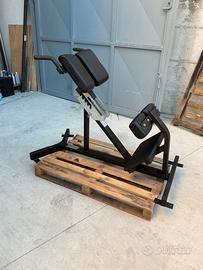 Hammer Strenght hyperextension