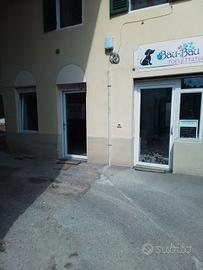 Toelettatura in Valdilana Biella