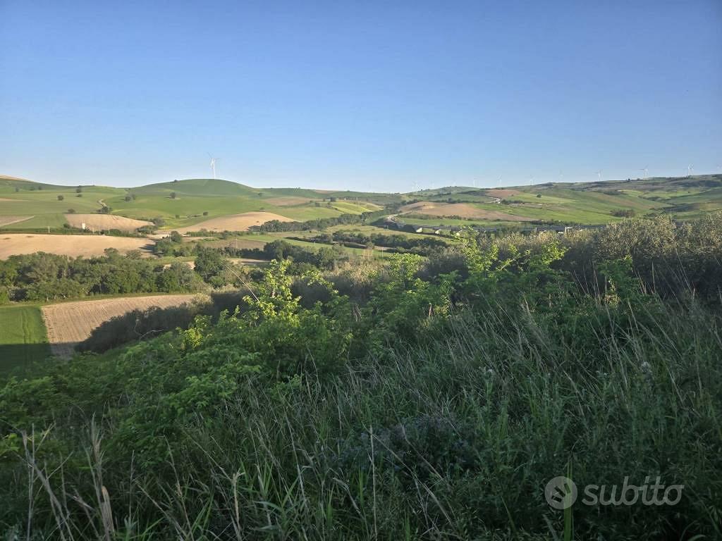Terreno di 56000 m² a Larino - Vista 2