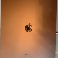 iPad Air 13" 256GB con Apple Care +