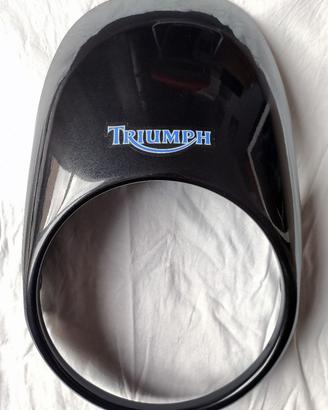 Cupolino Fly Screen per Triumph Legend