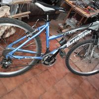 bici bottecchia  500