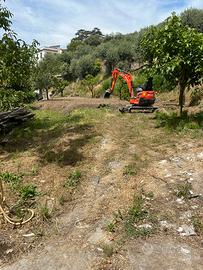 Escavatore Kubota u17-3