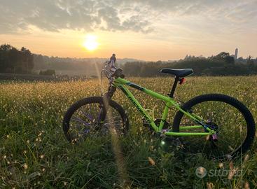 MTB rockrider st500 24