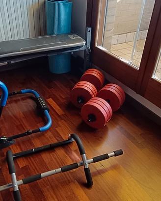 palestra