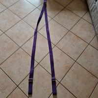 Cinghia d'allumgamento