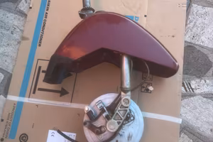 Vespa cosa