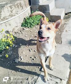 Maschietto 2 anni