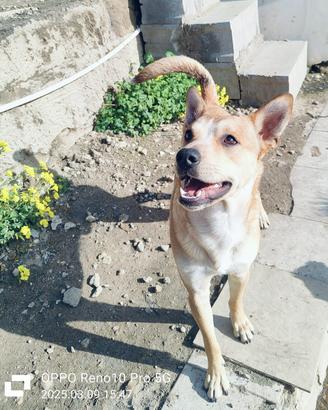 Maschietto 2 anni