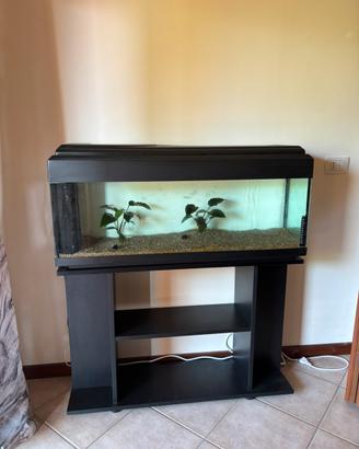 Acquario