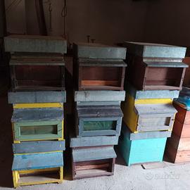 Arnie complete di telaini