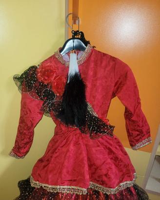 Vestito di Carnevale Veneziano