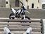Immagine 5