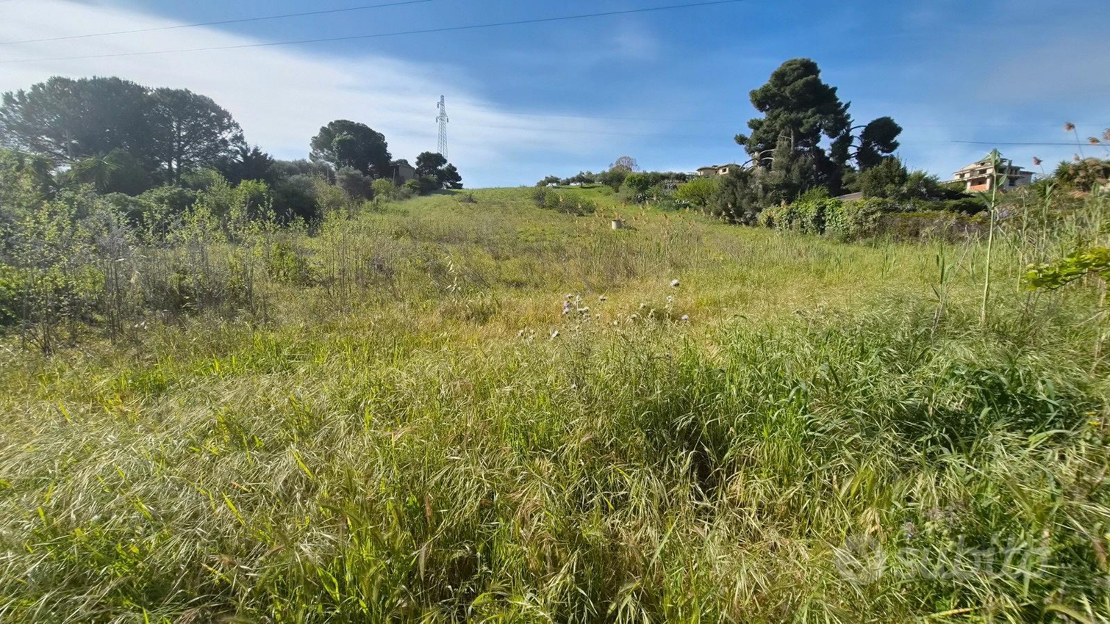 Ampio terreno agricolo edificabile Ter/73 - Vista 5