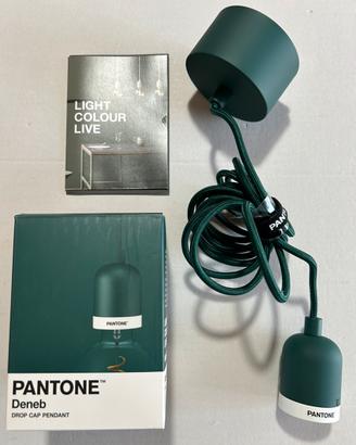 Lampada a sospensione Pantone Verde