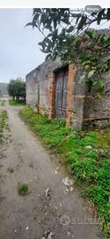 Terreno agricolo contrada Gonia - Terme Vigliatore