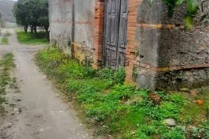 Terreno agricolo contrada Gonia - Terme Vigliatore