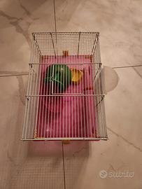 gabbietta per roditori criceti topini