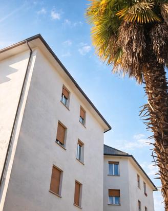 Vimercate centro due stanze singole luminose