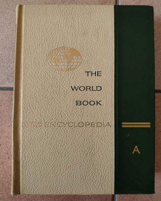 svuota cantina ENCICLOPEDIA AMERICANA del '67