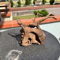 Tronco per acquario legno