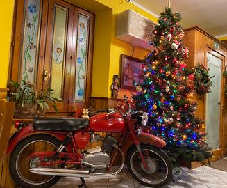 Moto Guzzi Altro modello - 1965