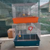 gabbie per pappagallini 