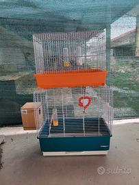 gabbie per pappagallini 