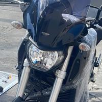 Cupolino touring mt 09 2014