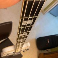 Basso D'Angelico Premium