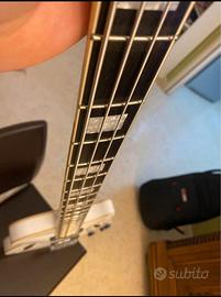 Basso D'Angelico Premium