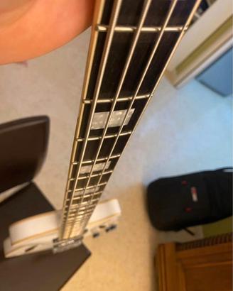 Basso D'Angelico Premium