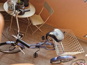 Bicicletta 2 ruote con cestino