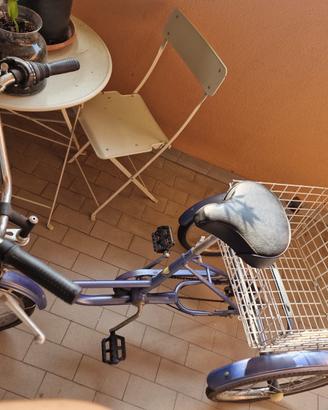 Bicicletta 2 ruote con cestino
