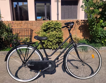 Bicicletta donna Doniselli