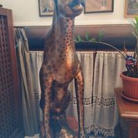 ghepardo da vetrina negozio 