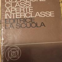 Classi aperte ,interclasse , individualizzazione 