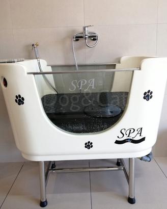 spa ozono elettronica