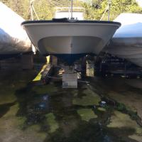 Boston Whaler Montauk 17